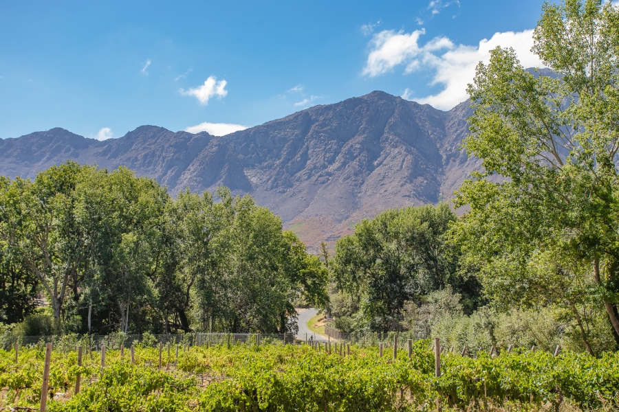 To Let 3 Bedroom Property for Rent in Franschhoek Rural Western Cape